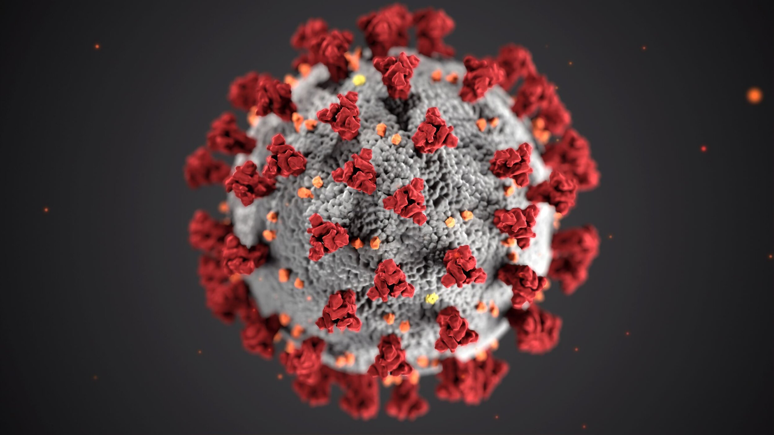 coronavirus.jpg